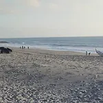 Big Fish 1 - Charming * Praia de Mira