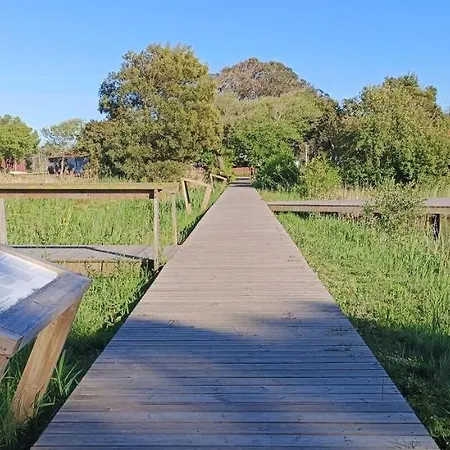 Big Fish 1 - Charming