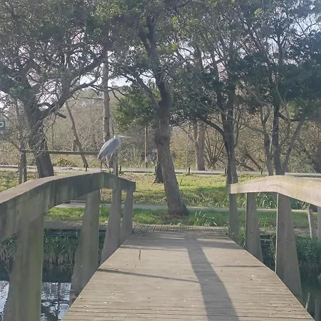 Big Fish 1 - Charming פראיה דה מירה