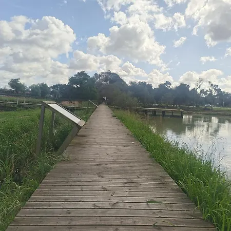 Big Fish 1 - Charming דירה