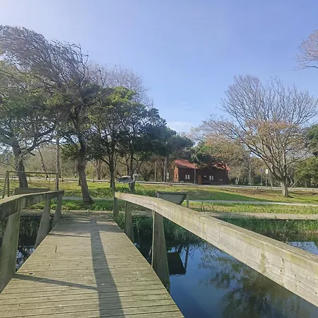 דירה Big Fish 1 - Charming *