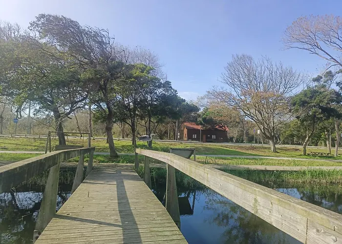 Apartamento Big Fish 1 - Charming *