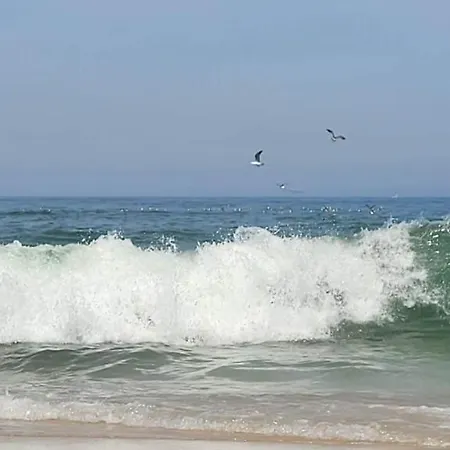 Appartamento Big Fish 1 - Charming *