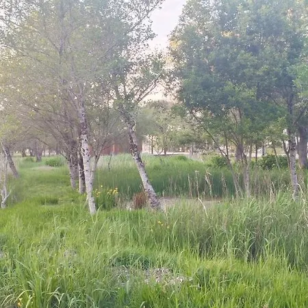 公寓 Big Fish 1 - Charming 普拉亚德米拉