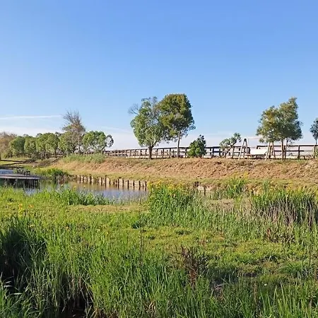 Big Fish 1 - Charming 普拉亚德米拉