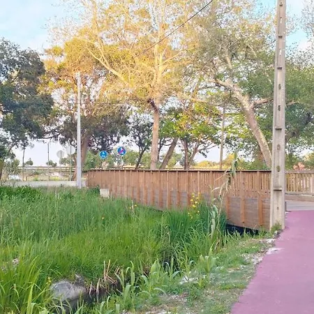 Big Fish 1 - Charming 公寓 *