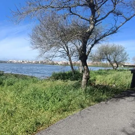 Big Fish 1 - Charming * 普拉亚德米拉