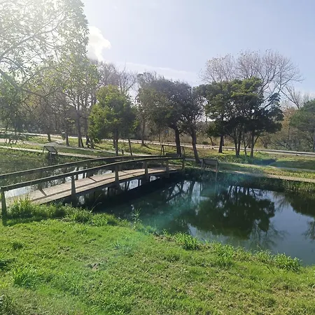 公寓 Big Fish 1 - Charming 普拉亚德米拉