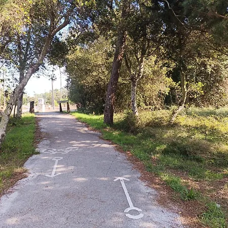 Big Fish 1 - Charming 公寓 *