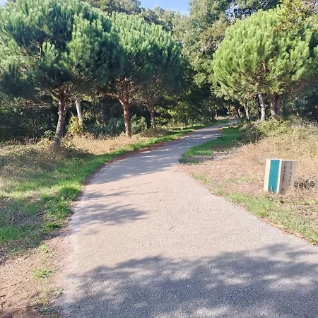 Big Fish 1 - Charming 普拉亚德米拉